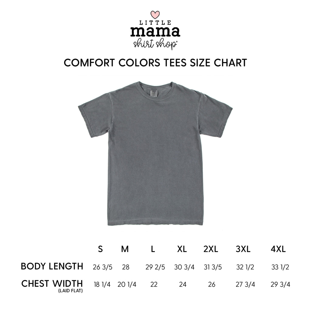 Big Book Energy - Comfort Colors Tee