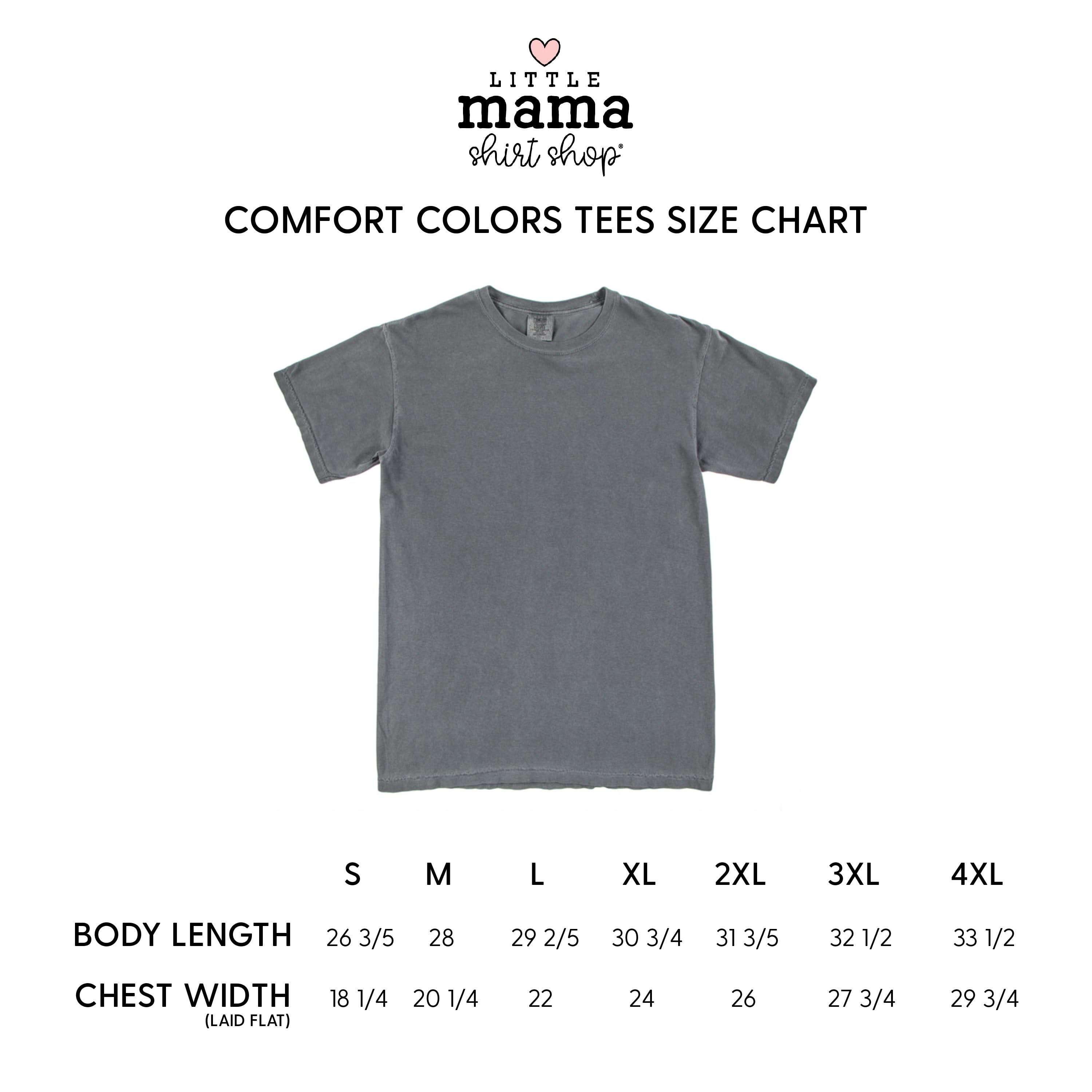 Big Book Energy - Comfort Colors Tee